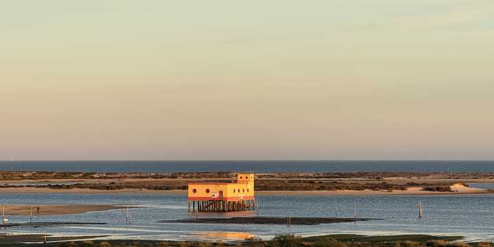 28 IMG_2275.jpg